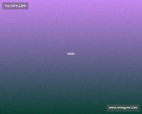 中国名牌赛车 中国名牌赛车